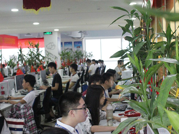 深圳网站建设成功案例